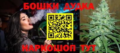 крисы Изобильный