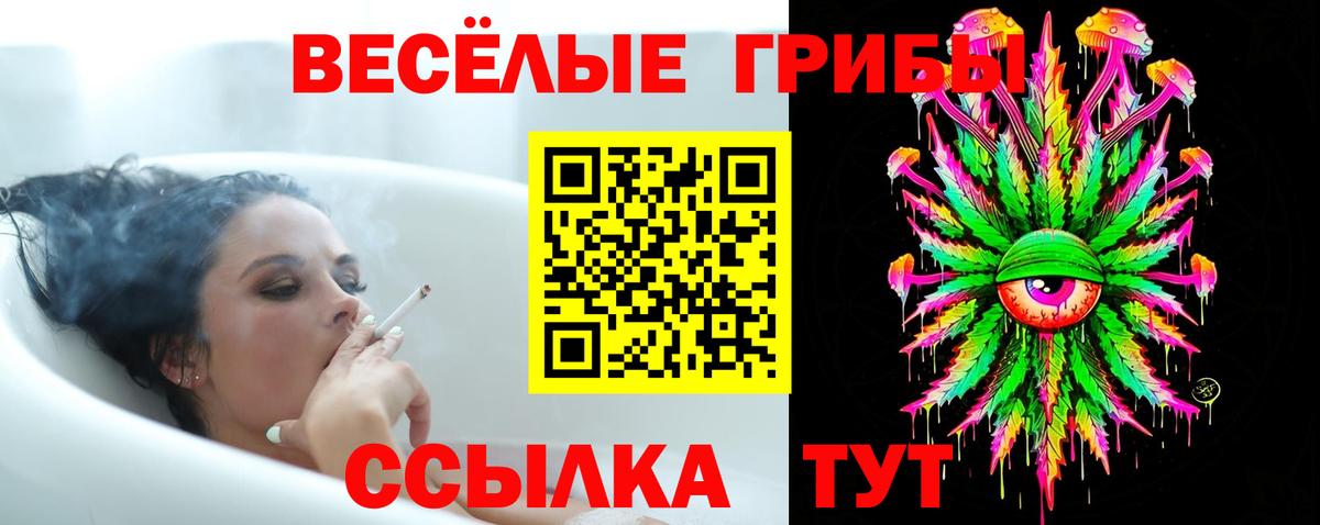 Лабытнанги  Псилоцибиновые грибы Psilocybe  Псилоцибиновые грибы Psilocybine cubensis  Вход с VPN 